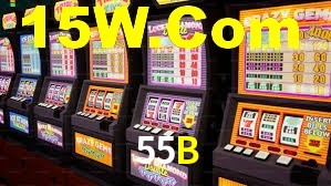 55B App Interface
